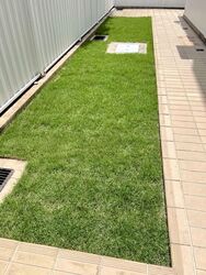Springleaf Garden (D26), Semi-Detached #561874231